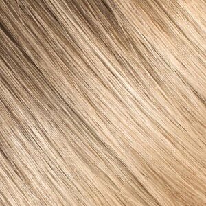 Rooted Cool Brown/Butter Blonde Extensions